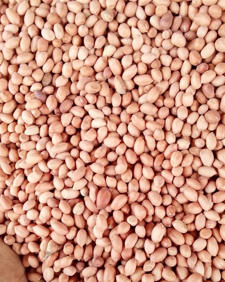 দেশি কাঁচা চিনাবাদাম দানা